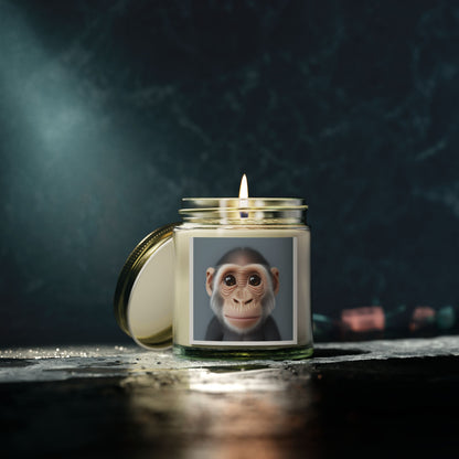 Candle Set - Baby Monkey Scented Coconut Apricot (4oz, 9oz)