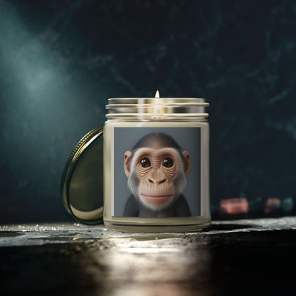 Candle Set - Baby Monkey Scented Coconut Apricot (4oz, 9oz)