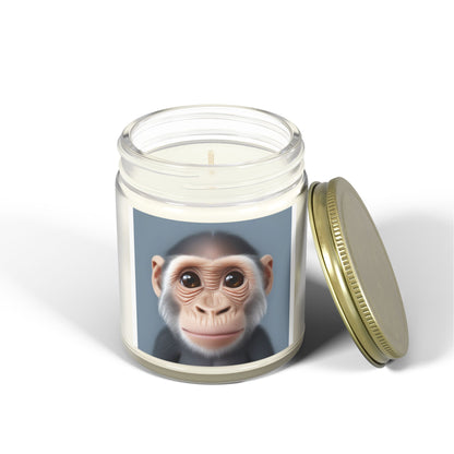 Candle Set - Baby Monkey Scented Coconut Apricot (4oz, 9oz)