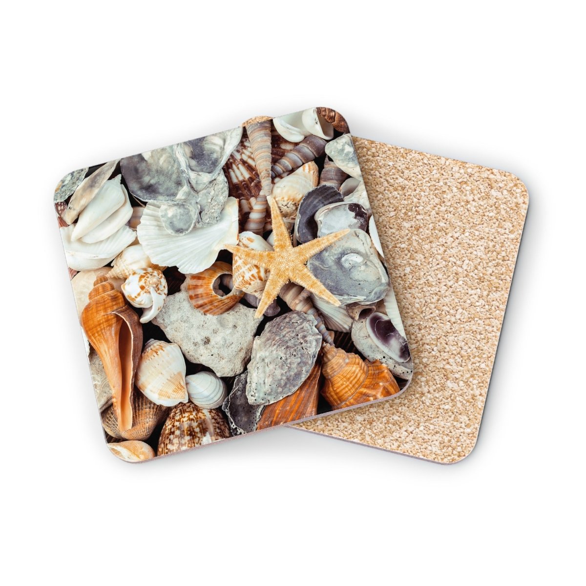 Coastal Themed Coasters - Beach Shell Design for Home Decor 33003383860622343368 Earthbound Pacific