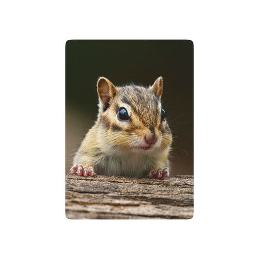 Cute Baby chipmunk Poker Playing Cards - Earthbound Pacific