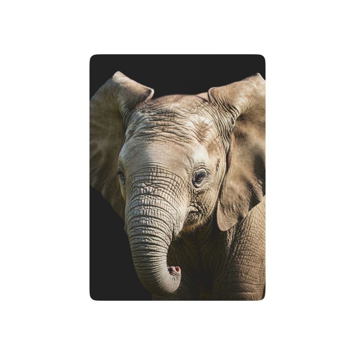 Cute Baby Elephant Poker Playing Cards - Earthbound Pacific