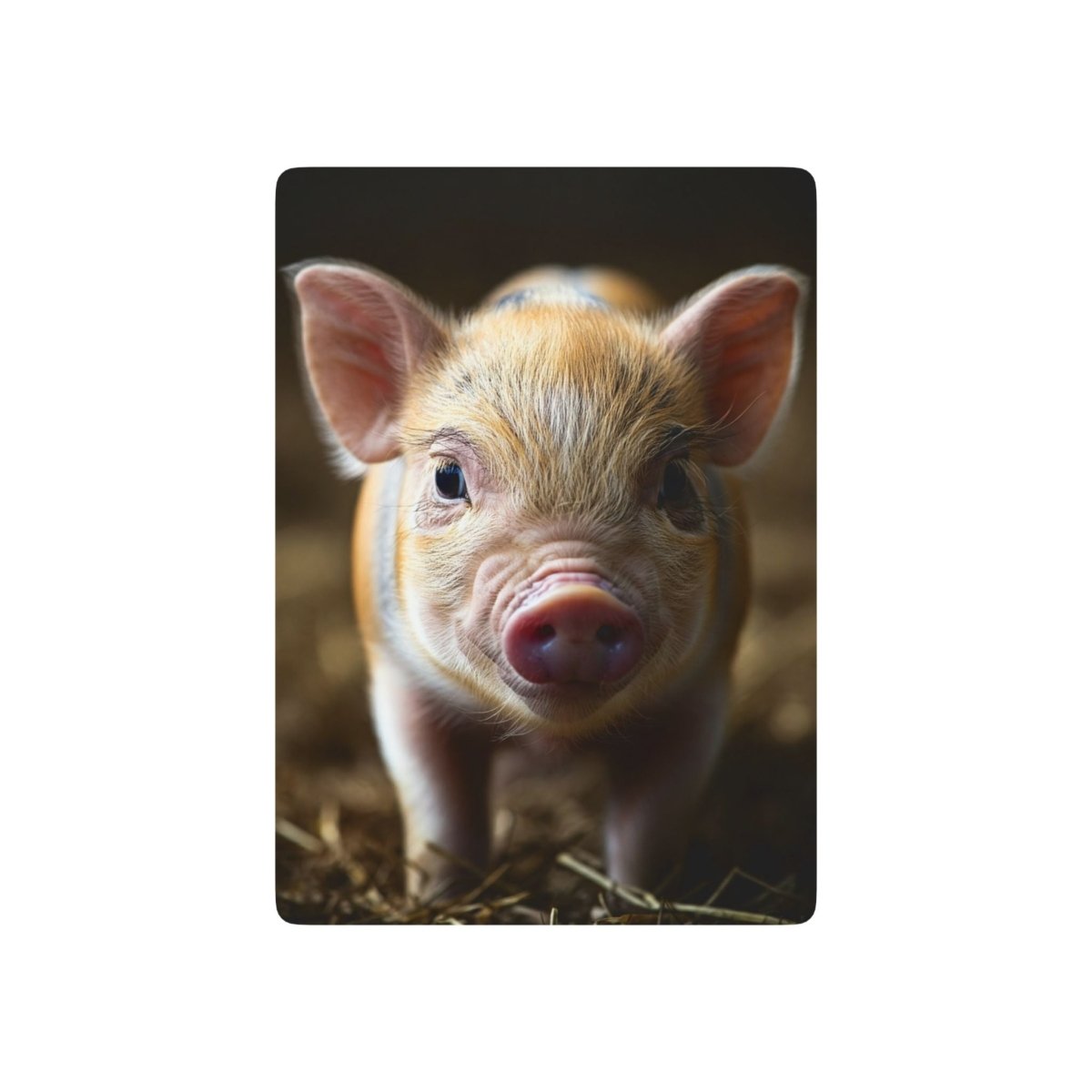 Cute Baby Pig Poker Playing Cards - Earthbound Pacific